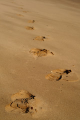 spuren im sand