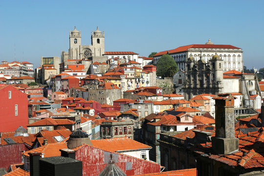 Porto Cityscape With Cathedral