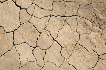 dry mud field