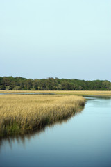 Fototapeta na wymiar Marsh landscape on Bald Head Island, North Carolina.
