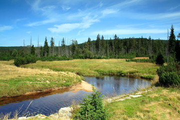 Fototapeta na wymiar rzeki górskiej polanie