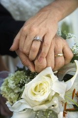 Obraz na płótnie Canvas Bride and groom's hands overlapping.