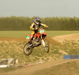 Obraz premium flying high