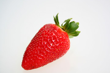 erdbeere