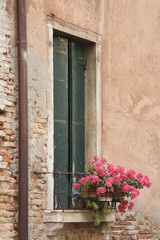 Fototapeta na wymiar Window with closed shutters and geranium flowers in Venice, Ital