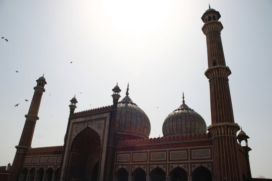 new delhi mosque