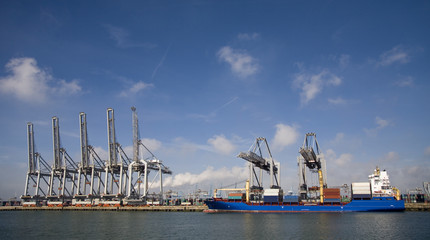 cranes and carriers 6