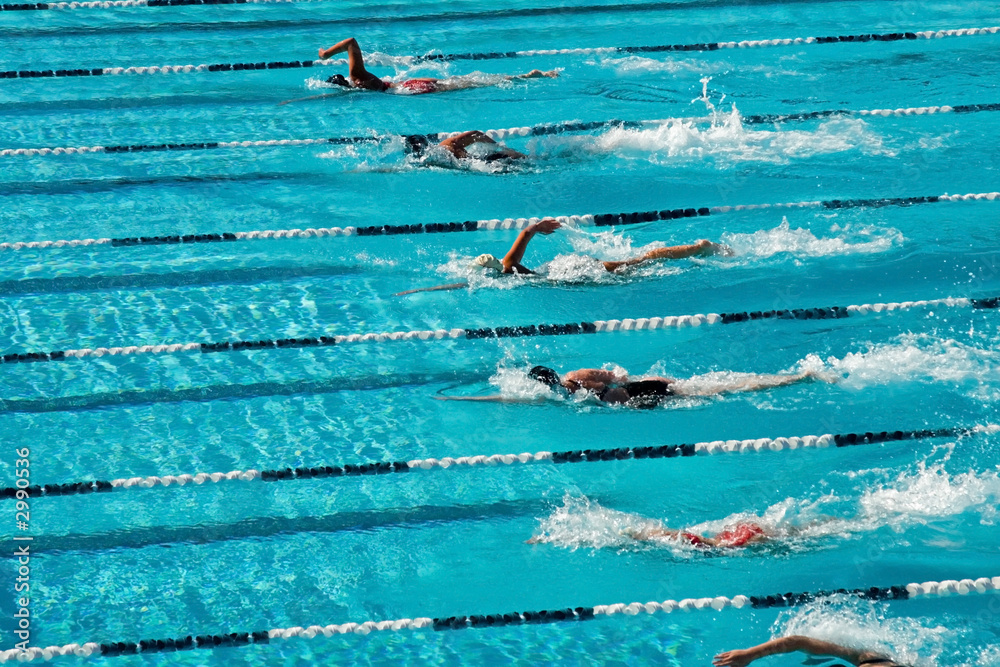 Wall mural competitive swimming