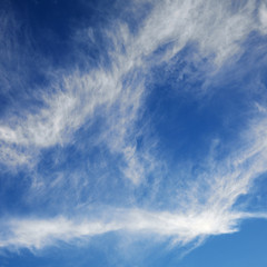 blue sky with clouds.