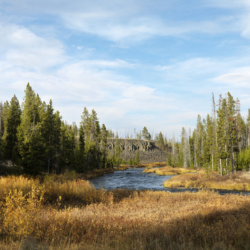landscape in yellowstone national park, wyoming.