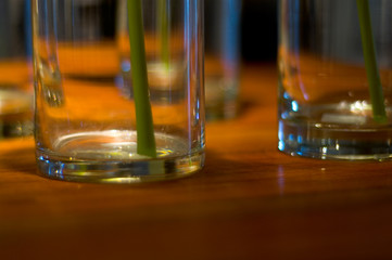 bottom glasses