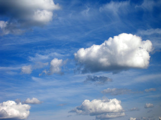 Obraz premium texture. background