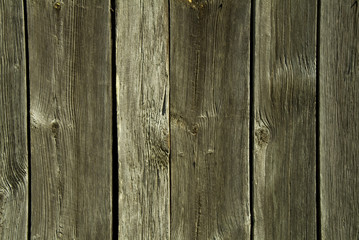 rotting wood on old barn near wears valley tennessee