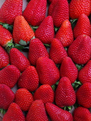 erdbeeren
