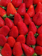 erdbeeren