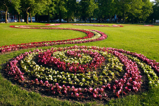 flower bed