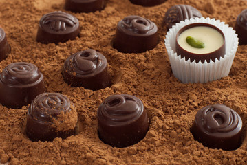 chocolates on cocoa a powder