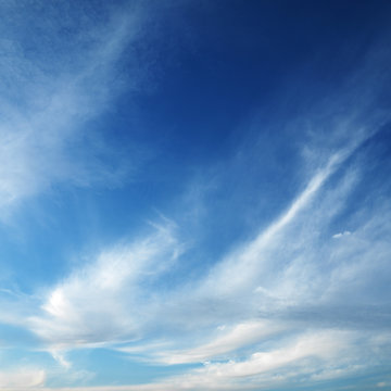 cirrus clouds in blue sky.
