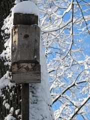 snow-covered nestling box