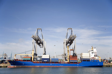 cranes and carriers 8