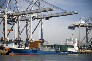 Fototapeta premium cranes and carriers 9