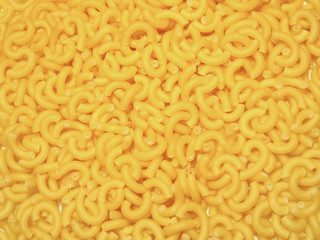 macaroni spaghetti