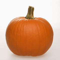 pumpkin on white.