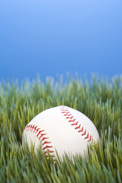 baseball resting in grass.