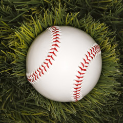 studio shot of baseball  laying in grass.