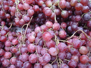 wine grapes