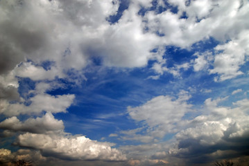 Obraz premium sky and clouds