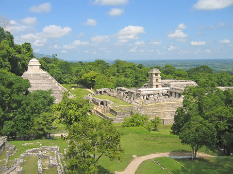 pyramids maya in the jungle, palenque, mexico