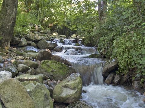 schwarzwaldquelle