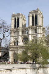 Fototapeta na wymiar cathédrale notre dame - paris