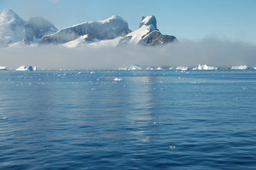 fogy antarctica