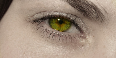 Obraz premium auge