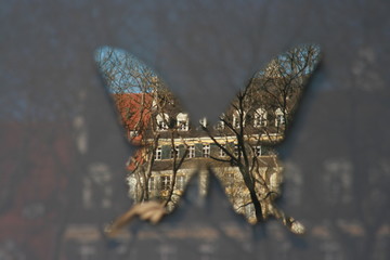 kaffeehaus im spiegel