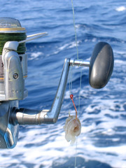 Obraz premium fishing