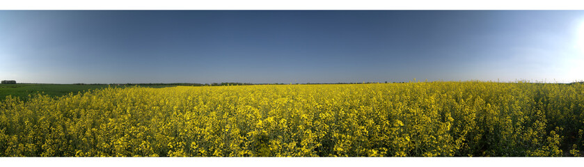 Fototapeta premium panoramique