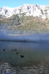 Naklejka premium see