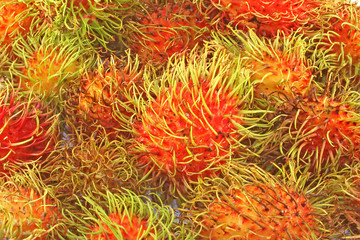 rambutan