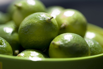 close up of key limes
