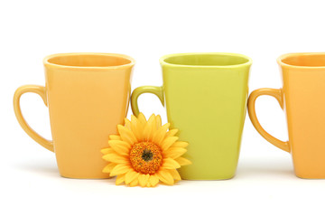 colorful coffee cups