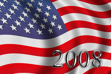 vote 2008