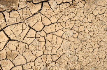 natural pattern cracked mud.