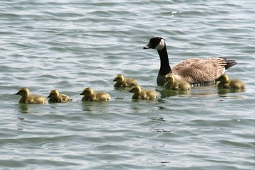swim class