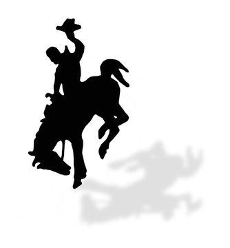 rodeo