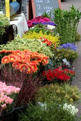 colorful flower stand