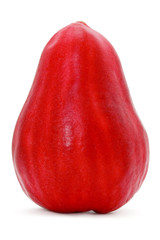 Search photos “jamaican apple”