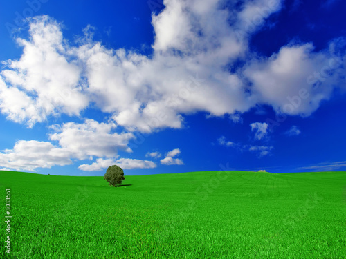 облака поле зеленое скачать